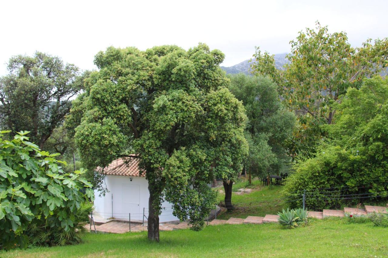 الجيسايرس Finca El Campo المظهر الخارجي الصورة