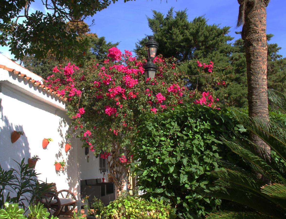 الجيسايرس Finca El Campo المظهر الخارجي الصورة
